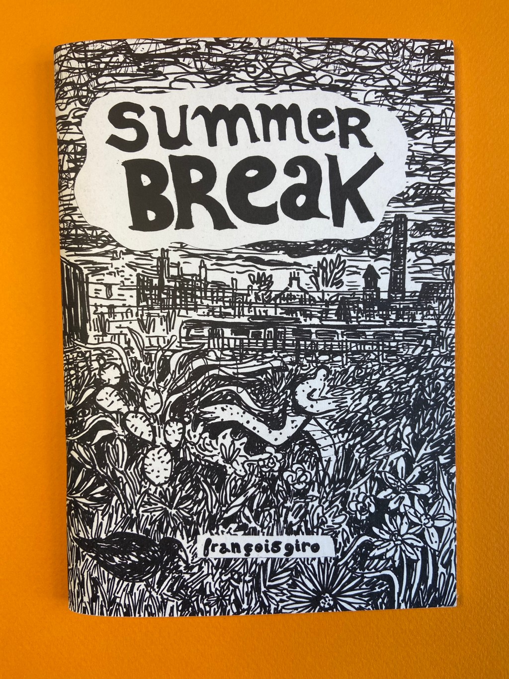Summer Break